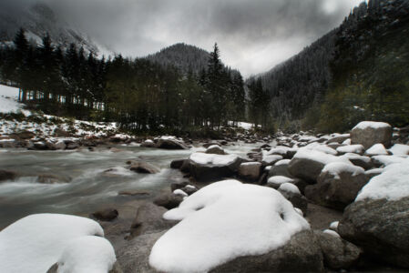 First Snow